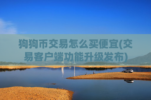 狗狗币交易怎么买便宜(交易客户端功能升级发布)