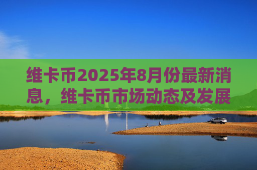 维卡币2025年8月份最新消息，维卡币市场动态及发展前景