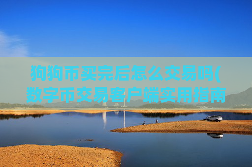 狗狗币买完后怎么交易吗(数字币交易客户端实用指南)
