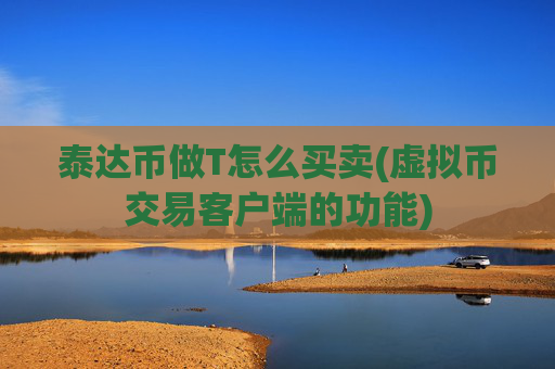 泰达币做T怎么买卖(虚拟币交易客户端的功能)