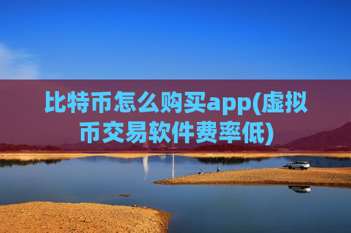 比特币怎么购买app(虚拟币交易软件费率低)