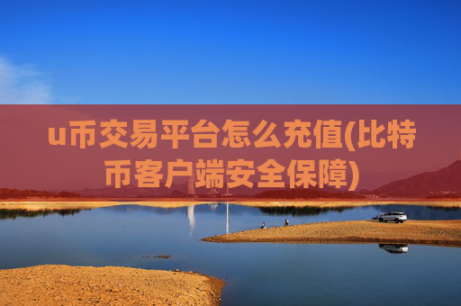 u币交易平台怎么充值(比特币客户端安全保障)