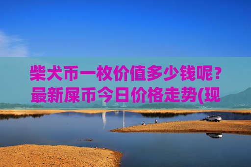 柴犬币一枚价值多少钱呢？最新屎币今日价格走势(现价0.00022468元)