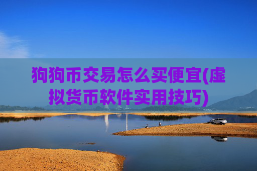 狗狗币交易怎么买便宜(虚拟货币软件实用技巧)