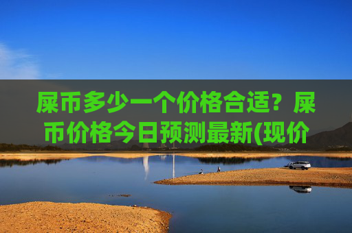 屎币多少一个价格合适？屎币价格今日预测最新(现价0.0002245元)