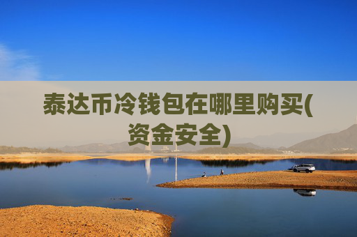 泰达币冷钱包在哪里购买(资金安全)