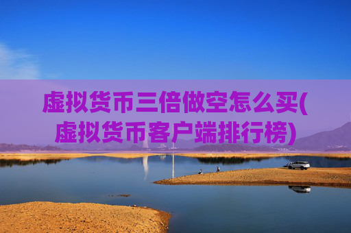 虚拟货币三倍做空怎么买(虚拟货币客户端排行榜)