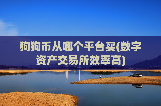 狗狗币从哪个平台买(数字资产交易所效率高)