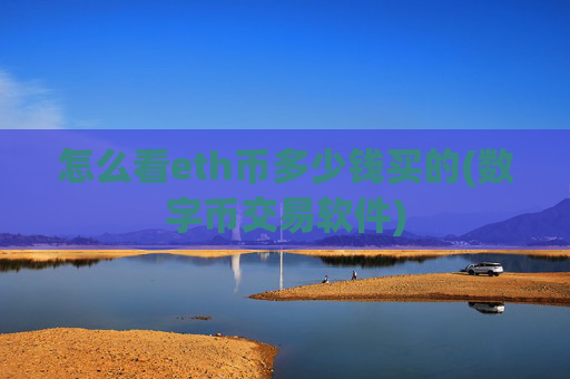怎么看eth币多少钱买的(数字币交易软件)