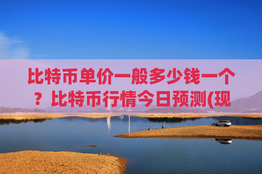 比特币单价一般多少钱一个？比特币行情今日预测(现价710146.81元)