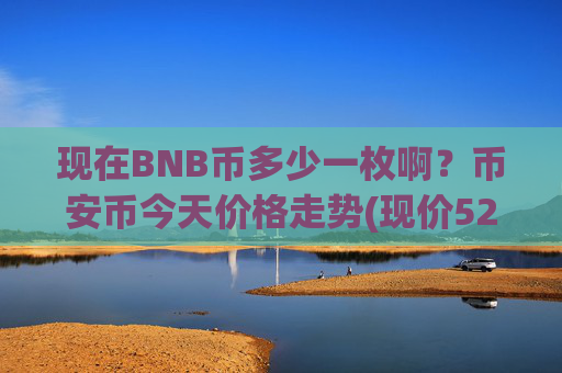 现在BNB币多少一枚啊?币安币今天价格走势(现价5293.96元)