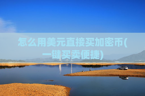 怎么用美元直接买加密币(一键买卖便捷)