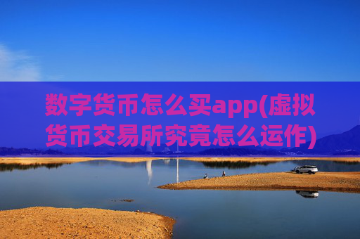数字货币怎么买app(虚拟货币交易所究竟怎么运作)