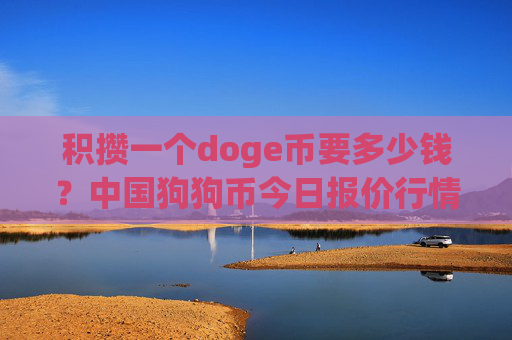 积攒一个doge币要多少钱？中国狗狗币今日报价行情(现价3.1714元)