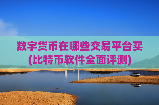 数字货币在哪些交易平台买(比特币软件全面评测)
