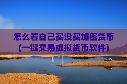怎么看自己买没买加密货币(一键交易虚拟货币软件)