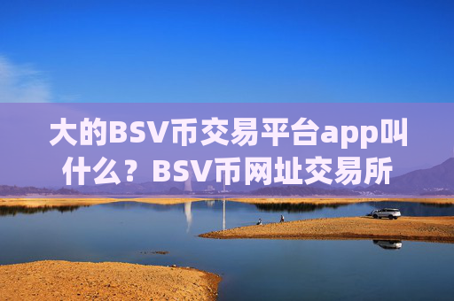 大的BSV币交易平台app叫什么？BSV币网址交易所