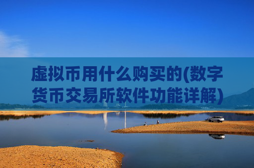 虚拟币用什么购买的(数字货币交易所软件功能详解)