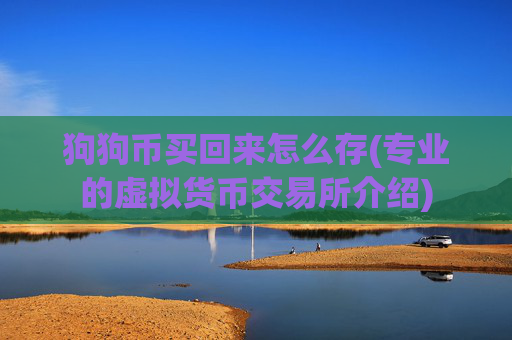 狗狗币买回来怎么存(专业的虚拟货币交易所介绍)