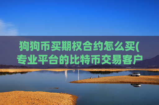 狗狗币买期权合约怎么买(专业平台的比特币交易客户端)