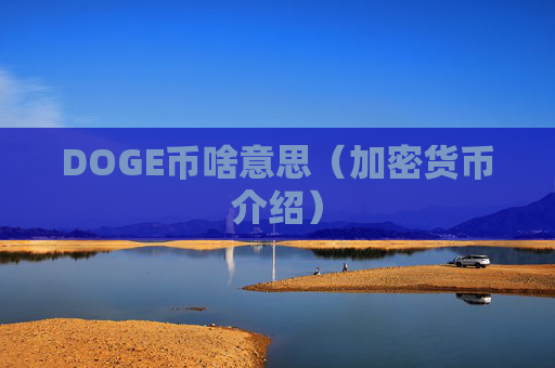 DOGE币啥意思（加密货币介绍）