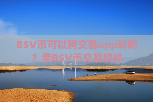BSV币可以跨交易app转吗？卖BSV币交易软件