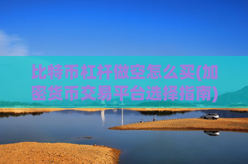 比特币杠杆做空怎么买(加密货币交易平台选择指南)