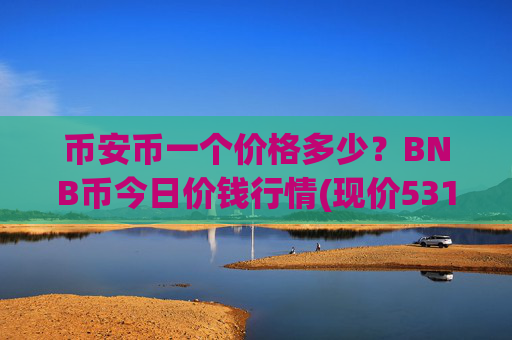币安币一个价格多少？BNB币今日价钱行情(现价5312.1元)