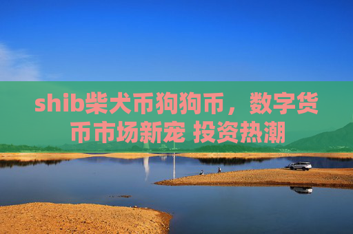 shib柴犬币狗狗币，数字货币市场新宠 投资热潮