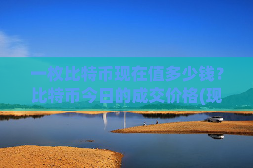 一枚比特币现在值多少钱？比特币今日的成交价格(现价717113.57元)