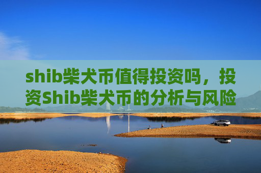 shib柴犬币值得投资吗，投资Shib柴犬币的分析与风险评估