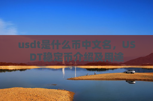 usdt是什么币中文名，USDT稳定币介绍及用途