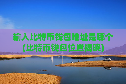 输入比特币钱包地址是哪个(比特币钱包位置揭晓)