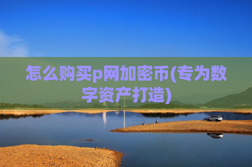 怎么购买p网加密币(专为数字资产打造)