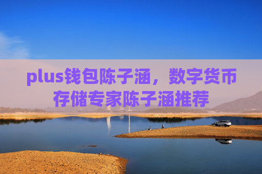 plus钱包陈子涵，数字货币存储专家陈子涵推荐