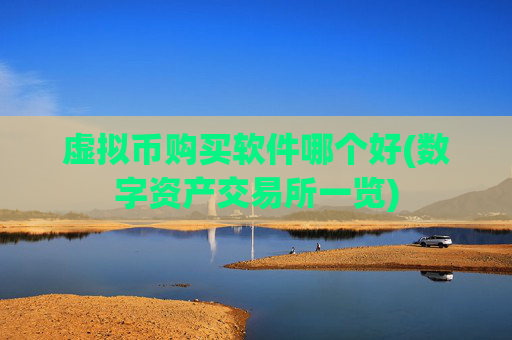 虚拟币购买软件哪个好(数字资产交易所一览)