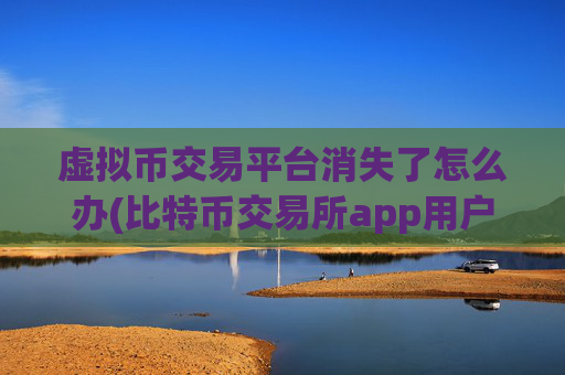 虚拟币交易平台消失了怎么办(比特币交易所app用户体验分析)