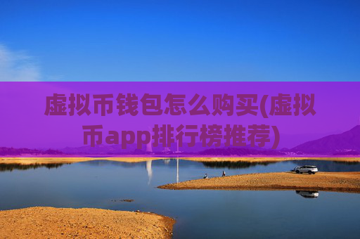 虚拟币钱包怎么购买(虚拟币app排行榜推荐)