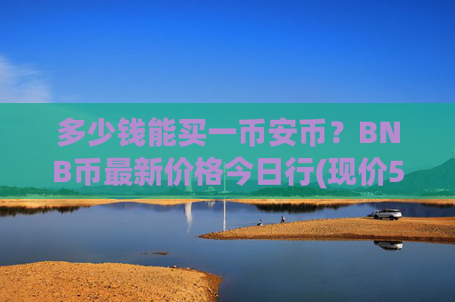 多少钱能买一币安币？BNB币最新价格今日行(现价5307.44元)