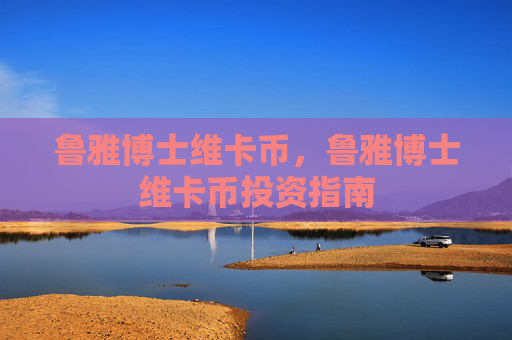 鲁雅博士维卡币，鲁雅博士维卡币投资指南