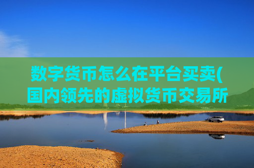 数字货币怎么在平台买卖(国内领先的虚拟货币交易所)