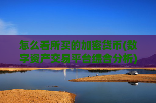 怎么看所买的加密货币(数字资产交易平台综合分析)