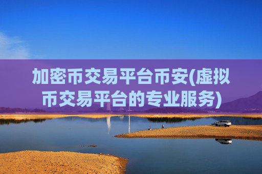 加密币交易平台币安(虚拟币交易平台的专业服务)