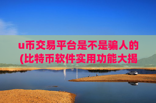 u币交易平台是不是骗人的(比特币软件实用功能大揭秘)