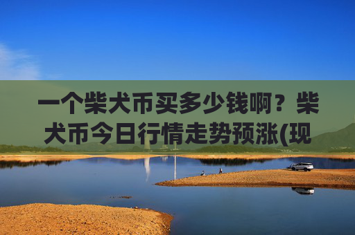 一个柴犬币买多少钱啊？柴犬币今日行情走势预涨(现价0.00022309元)