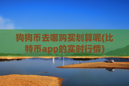 狗狗币去哪购买划算呢(比特币app的实时行情)