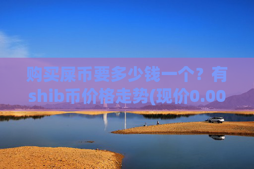 购买屎币要多少钱一个？有shib币价格走势(现价0.00022542元)
