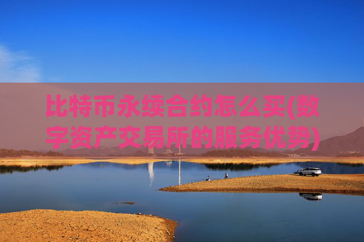 比特币永续合约怎么买(数字资产交易所的服务优势)