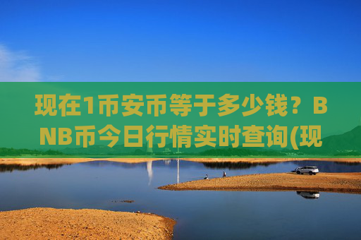 现在1币安币等于多少钱？BNB币今日行情实时查询(现价5313.04元)