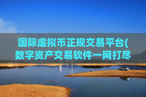国际虚拟币正规交易平台(数字资产交易软件一网打尽)